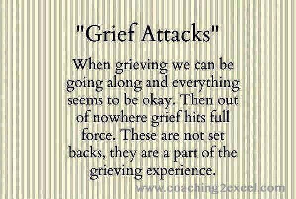 13394043_1350101145004651_6269901527779401048_n
