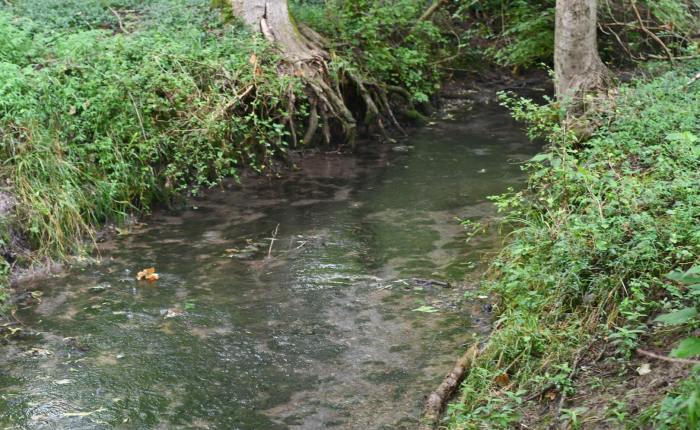 How Has Five Years Gone By So&nbsp;Fast